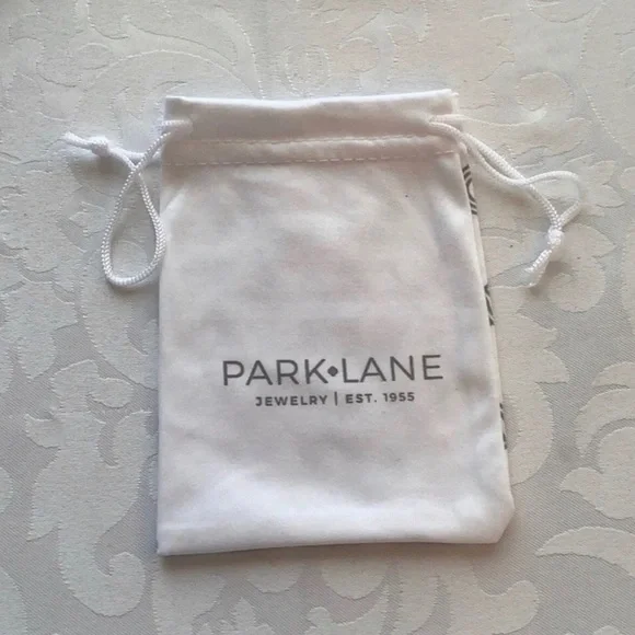 🆕Park Lane Oui Earrings Hematite TearDrop Hooks - Picture 15 of 16